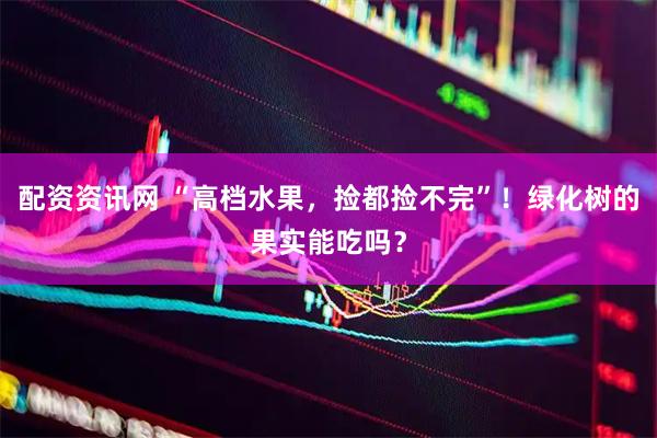 配资资讯网 “高档水果，捡都捡不完”！绿化树的果实能吃吗？